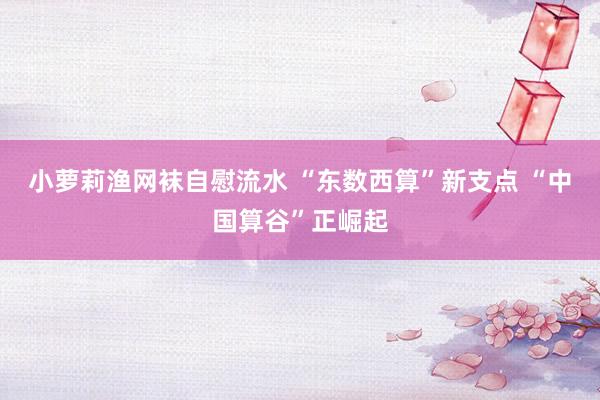 小萝莉渔网袜自慰流水 “东数西算”新支点 “中国算谷”正崛起