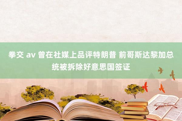 拳交 av 曾在社媒上品评特朗普 前哥斯达黎加总统被拆除好意思国签证