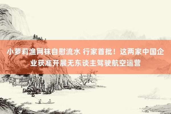 小萝莉渔网袜自慰流水 行家首批！这两家中国企业获准开展无东谈主驾驶航空运营