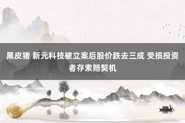 黑皮猪 新元科技被立案后股价跌去三成 受损投资者存索赔契机