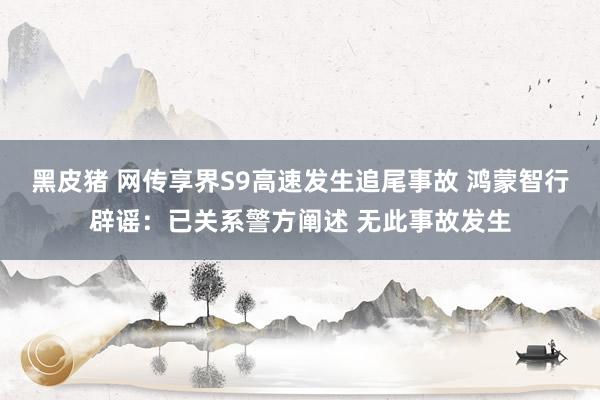 黑皮猪 网传享界S9高速发生追尾事故 鸿蒙智行辟谣：已关系警方阐述 无此事故发生