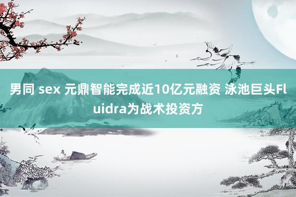 男同 sex 元鼎智能完成近10亿元融资 泳池巨头Fluidra为战术投资方
