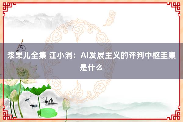 浆果儿全集 江小涓：AI发展主义的评判中枢圭臬是什么
