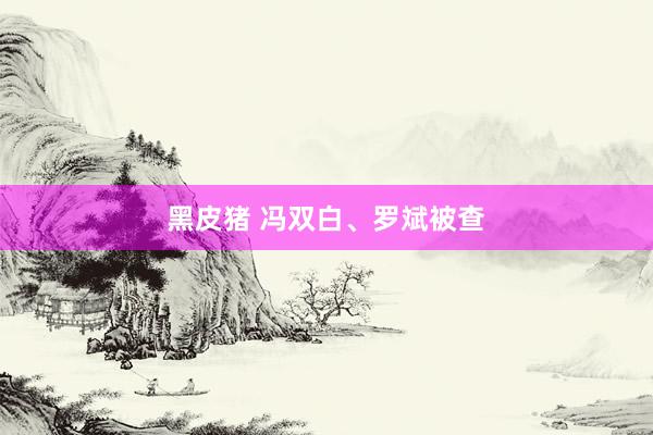 黑皮猪 冯双白、罗斌被查
