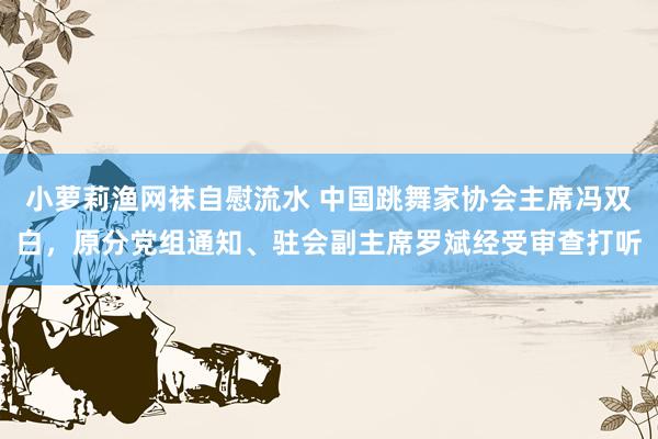 小萝莉渔网袜自慰流水 中国跳舞家协会主席冯双白，原分党组通知、驻会副主席罗斌经受审查打听