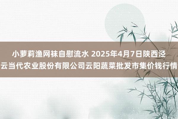 小萝莉渔网袜自慰流水 2025年4月7日陕西泾云当代农业股份有限公司云阳蔬菜批发市集价钱行情