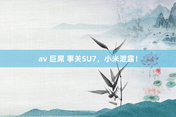 av 巨屌 事关SU7，小米泄露！