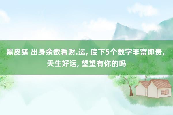 黑皮猪 出身余数看财.运， 底下5个数字非富即贵， 天生好运， 望望有你的吗