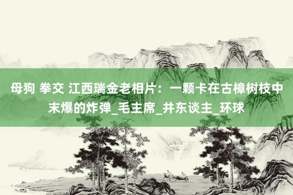 母狗 拳交 江西瑞金老相片：一颗卡在古樟树枝中末爆的炸弹_毛主席_井东谈主_环球
