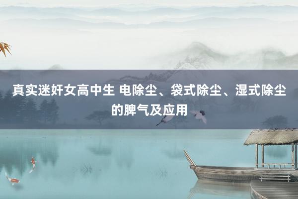 真实迷奸女高中生 电除尘、袋式除尘、湿式除尘的脾气及应用