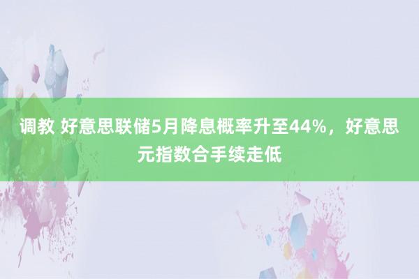 调教 好意思联储5月降息概率升至44%，好意思元指数合手续走低