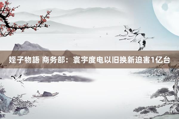 姪子物語 商务部：寰宇度电以旧换新迫害1亿台