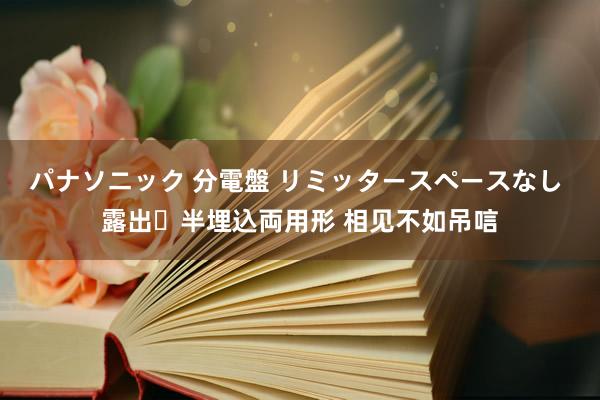 パナソニック 分電盤 リミッタースペースなし 露出・半埋込両用形 相见不如吊唁