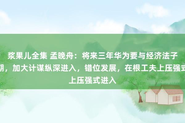 浆果儿全集 孟晚舟：将来三年华为要与经济法子逆周期，加大计谋纵深进入，错位发展，在根工夫上压强式进入