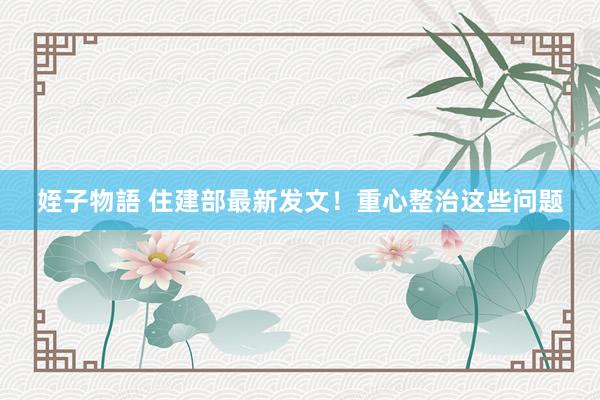 姪子物語 住建部最新发文！重心整治这些问题