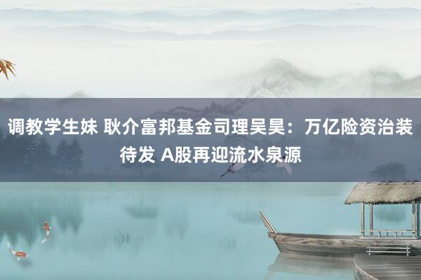 调教学生妹 耿介富邦基金司理吴昊：万亿险资治装待发 A股再迎流水泉源