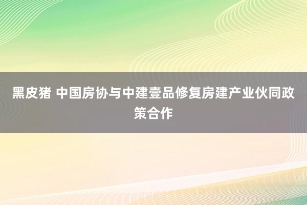 黑皮猪 中国房协与中建壹品修复房建产业伙同政策合作