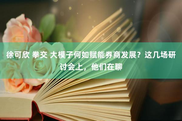 徐可欣 拳交 大模子何如赋能券商发展？这几场研讨会上，他们在聊