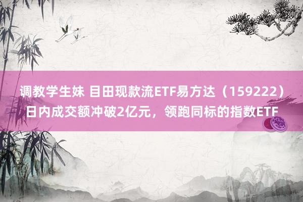 调教学生妹 目田现款流ETF易方达（159222）日内成交额冲破2亿元，领跑同标的指数ETF