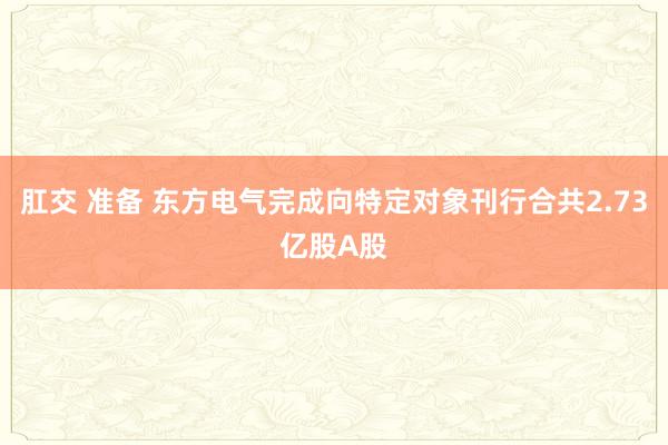 肛交 准备 东方电气完成向特定对象刊行合共2.73亿股A股
