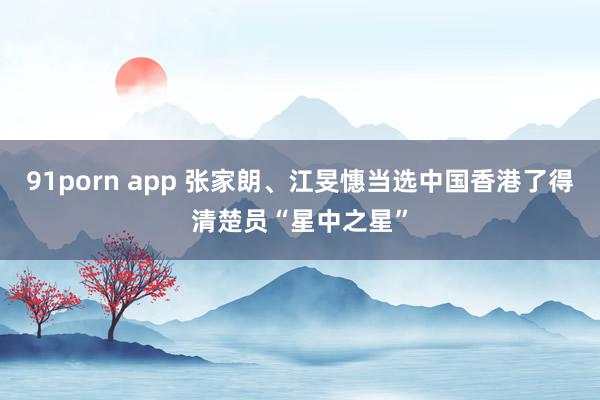 91porn app 张家朗、江旻憓当选中国香港了得清楚员“星中之星”