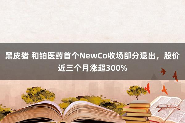 黑皮猪 和铂医药首个NewCo收场部分退出，股价近三个月涨超300%