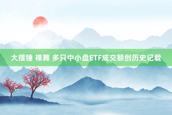 大摆锤 裸舞 多只中小盘ETF成交额创历史记载