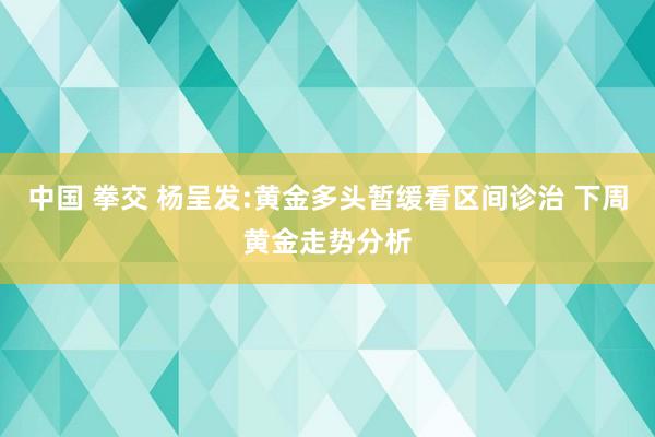 中国 拳交 杨呈发:黄金多头暂缓看区间诊治 下周黄金走势分析