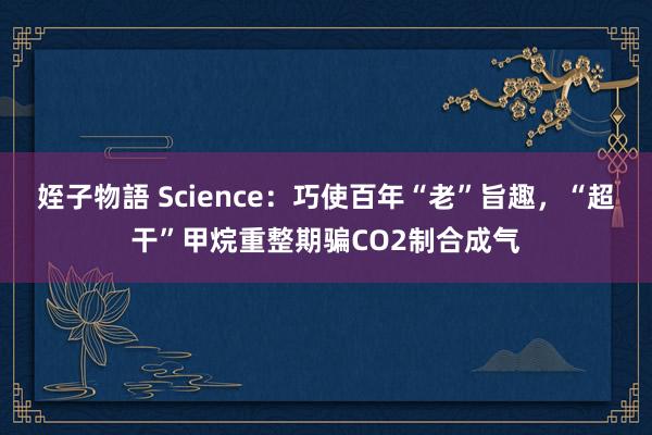 姪子物語 Science：巧使百年“老”旨趣，“超干”甲烷重整期骗CO2制合成气