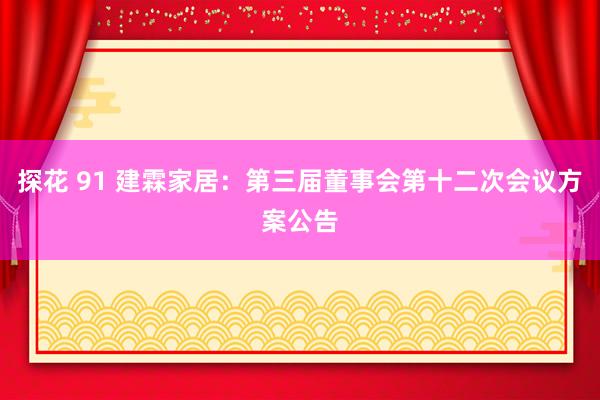 探花 91 建霖家居：第三届董事会第十二次会议方案公告