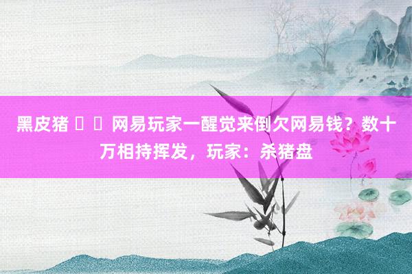黑皮猪 ​​网易玩家一醒觉来倒欠网易钱？数十万相持挥发，玩家：杀猪盘