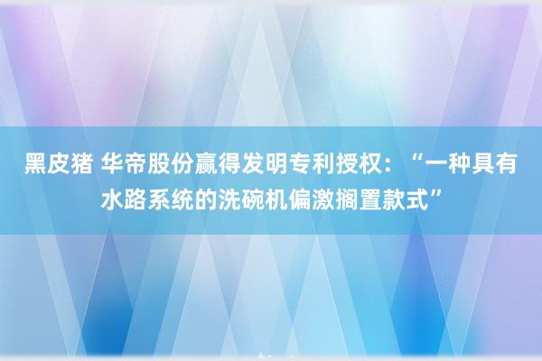 黑皮猪 华帝股份赢得发明专利授权：“一种具有水路系统的洗碗机偏激搁置款式”