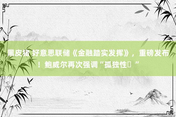 黑皮猪 好意思联储《金融踏实发挥》，重磅发布！鲍威尔再次强调“孤独性​”