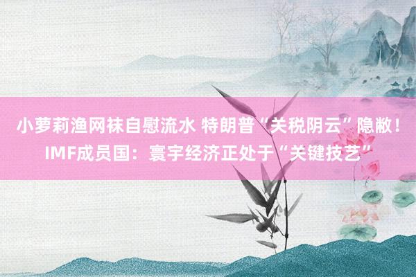 小萝莉渔网袜自慰流水 特朗普“关税阴云”隐敝！IMF成员国：寰宇经济正处于“关键技艺”